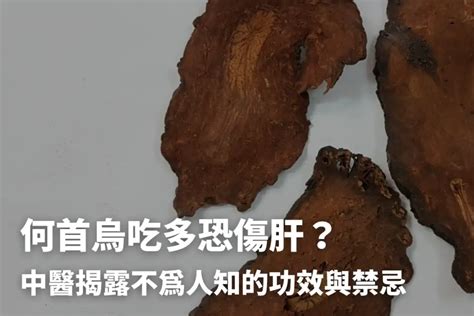 何首烏怎麼吃